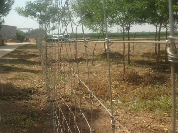 草原網安裝實例